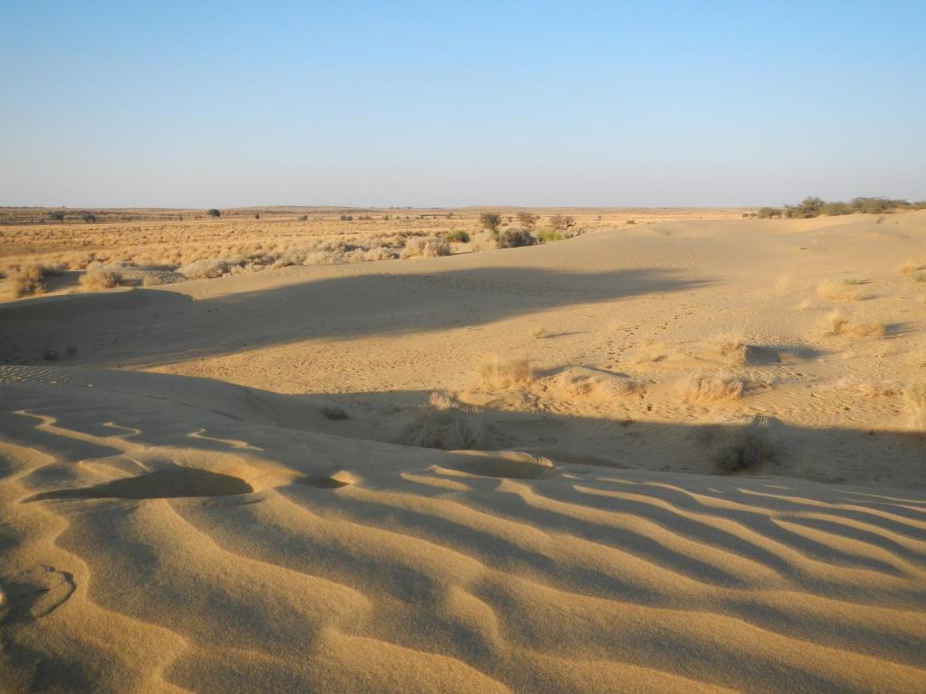 Hotel Renuka Jaisalmer Extérieur photo